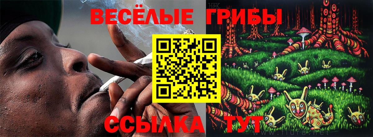 Галлюциногенные грибы Magic Shrooms Донской