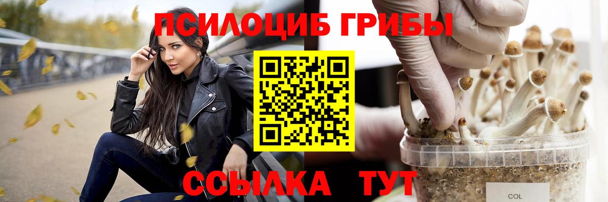 Псилоцибиновые грибы Psilocybe  Вход с VPN  Донской 